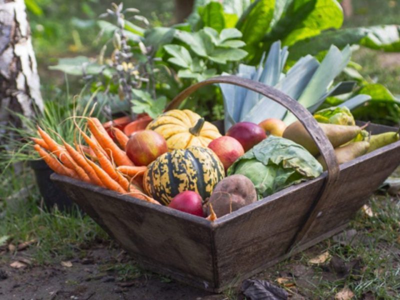 Tea Gardens Genuine Farmers Market – 1st Saturday of the month
