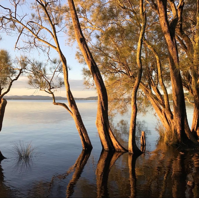 Myall Lakes National Park